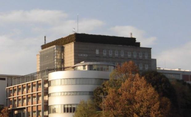 Why Every Nigerian Business Needs Professional Facility Management Services